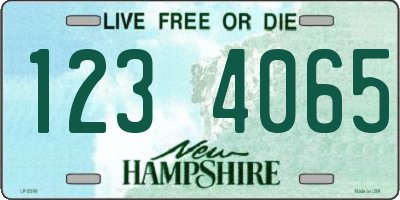 NH license plate 1234065