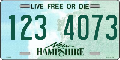 NH license plate 1234073