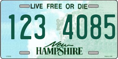 NH license plate 1234085