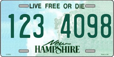 NH license plate 1234098