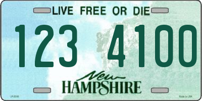 NH license plate 1234100