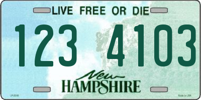 NH license plate 1234103