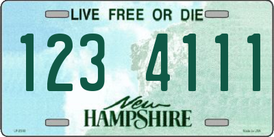 NH license plate 1234111