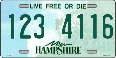NH license plate 1234116