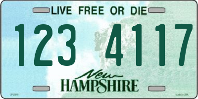 NH license plate 1234117