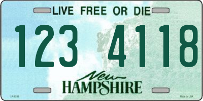 NH license plate 1234118