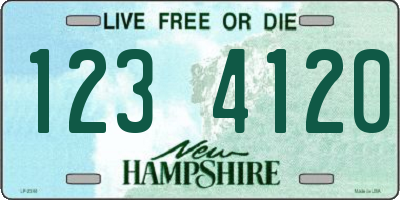 NH license plate 1234120
