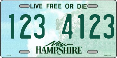 NH license plate 1234123