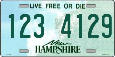 NH license plate 1234129