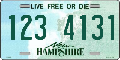 NH license plate 1234131