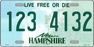 NH license plate 1234132