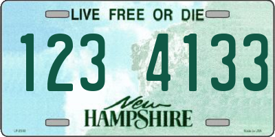NH license plate 1234133