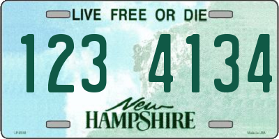 NH license plate 1234134