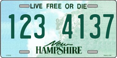 NH license plate 1234137