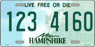 NH license plate 1234160
