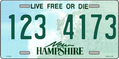 NH license plate 1234173