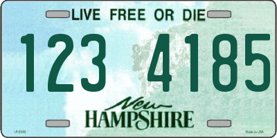 NH license plate 1234185