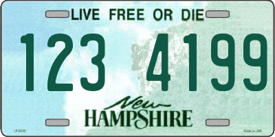 NH license plate 1234199