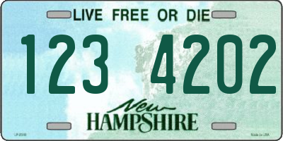 NH license plate 1234202