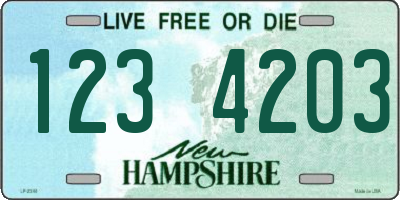 NH license plate 1234203