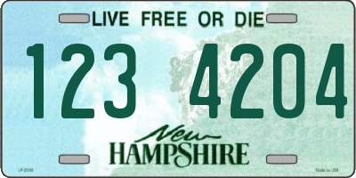 NH license plate 1234204