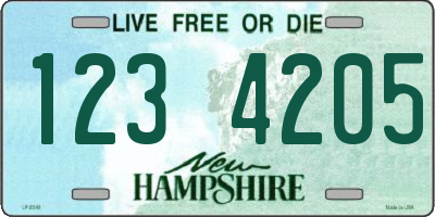 NH license plate 1234205