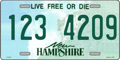 NH license plate 1234209
