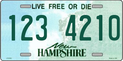 NH license plate 1234210