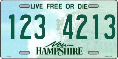 NH license plate 1234213