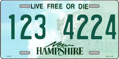 NH license plate 1234224