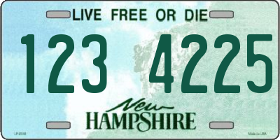 NH license plate 1234225