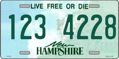 NH license plate 1234228