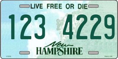 NH license plate 1234229