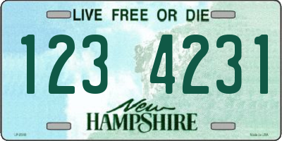 NH license plate 1234231