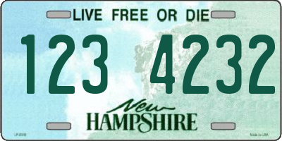 NH license plate 1234232