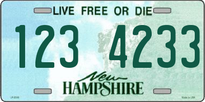 NH license plate 1234233
