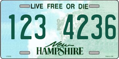NH license plate 1234236