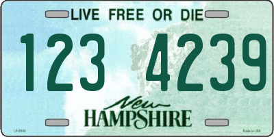 NH license plate 1234239