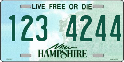 NH license plate 1234244