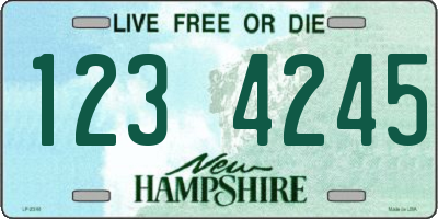 NH license plate 1234245