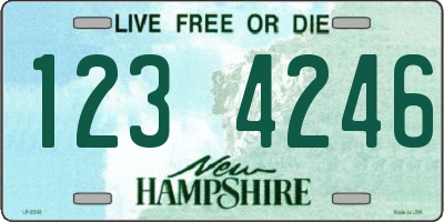 NH license plate 1234246