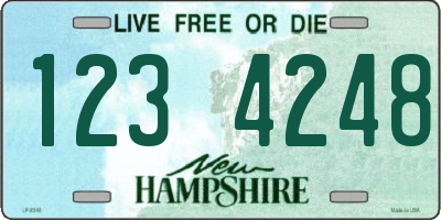 NH license plate 1234248