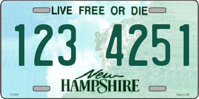 NH license plate 1234251