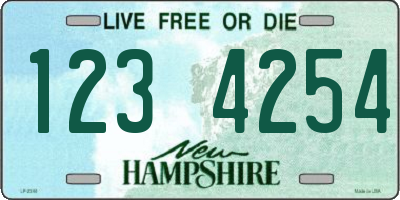 NH license plate 1234254
