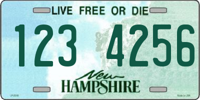 NH license plate 1234256