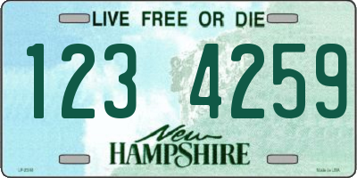 NH license plate 1234259