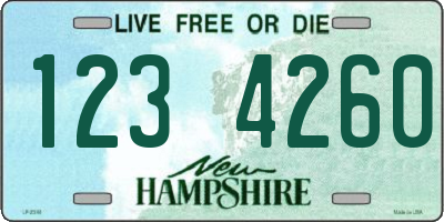 NH license plate 1234260