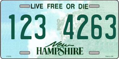 NH license plate 1234263