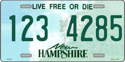 NH license plate 1234285