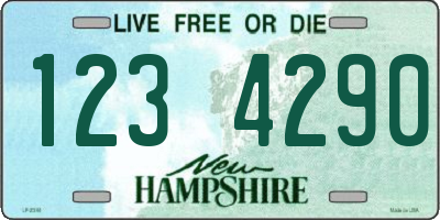 NH license plate 1234290